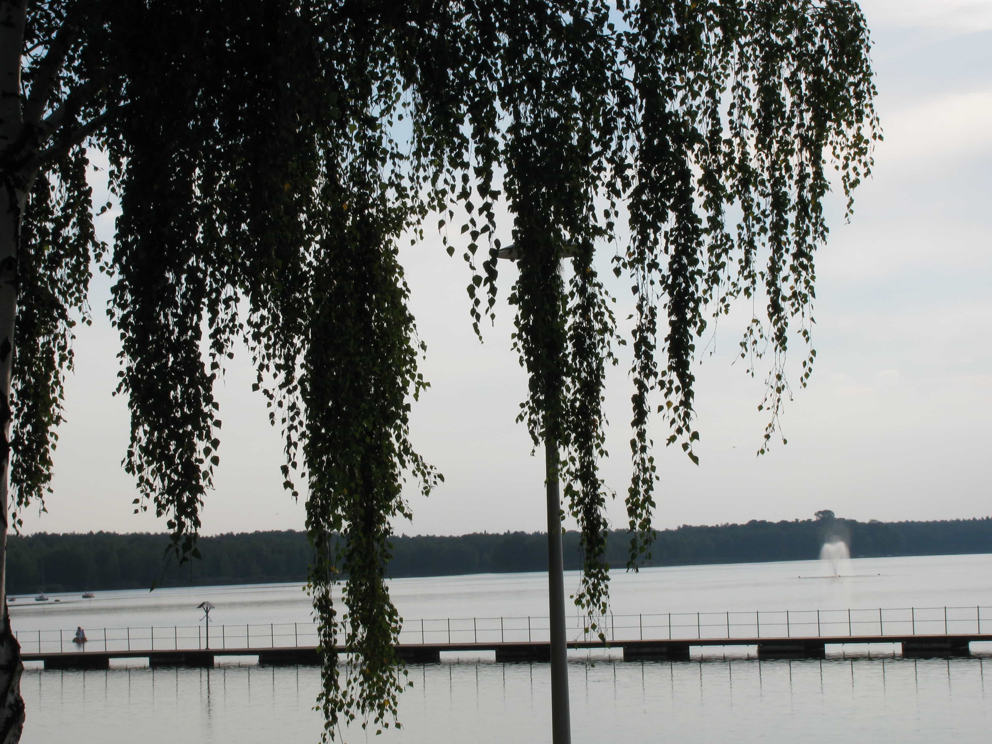 Jezioro_Paprocanskie
